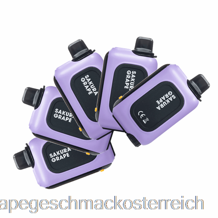 [5er-Pack] Instabar WT15000 Einweg-Vape-Geschmack